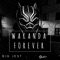Wakanda Forever - Big Jest lyrics