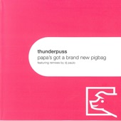 Papa's Got a Brand New Pigbag (Thunderpuss Mixshow Edit) artwork