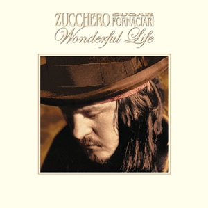 Wonderful Life - EP