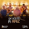 De Volta a Raiz (feat. Matheus Minas & Leandro) - Single