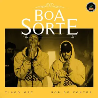 Boa Sorte - Single by Pineapple StormTv, Bob do Contra & Tiago Mac album reviews, ratings, credits