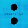 Stream & download Shape of You (NOTD Remix) - Single