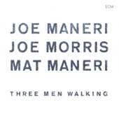 Joe Maneri - Bird's In the Belfry