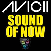 Sound of Now (Mic Newman Remix) artwork
