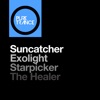 The Healer - Single