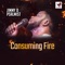 Consuming Fire - Jimmy D Psalmist lyrics