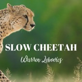 Slow Cheetah (Acoustic) artwork
