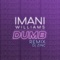 Dumb (feat. Tiggs Da Author & Belly Squad) - Imani Williams & DJ Zinc lyrics