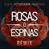 Rosas o Espinas (Remix) - Single album lyrics, reviews, download