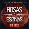 Rosas O Espinas (Remix) - Single