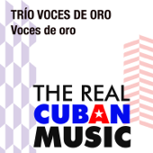 Regalo de viaje (Remasterizado) - Trio Voces de Oro