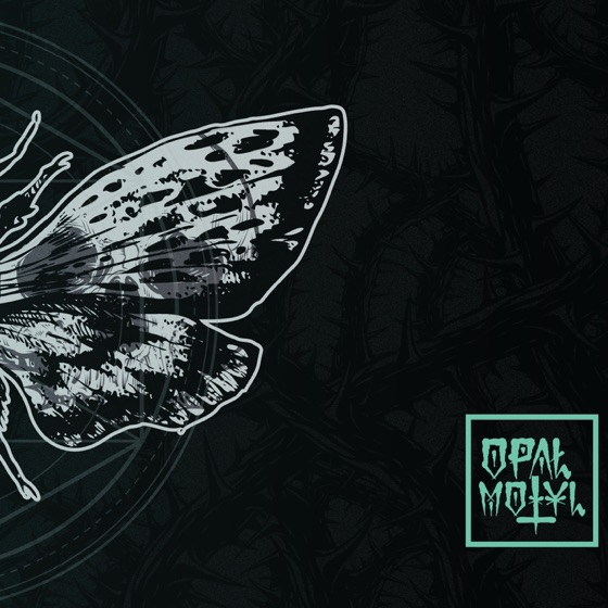 Cover artwork for Imago