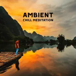 Ambient Chill Meditation - Sleeping Pill, Hypnotic Relaxation, Blissful Rest & Stress Relief, New Age Music by Mindfullness Meditation, Relaxation Meditation Songs & Music to Relax in Free Time album reviews, ratings, credits