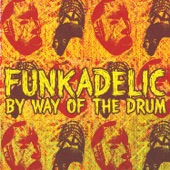 Funkadelic - Sunshine of Your Love