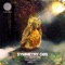 The Night Owl - Symmetry Obs lyrics