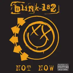 Not Now - Single - Blink 182