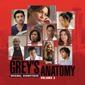 Grey's Anatomy, Vol. 2 (Original Soundtrack) artwork