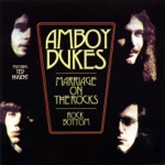 The Amboy Dukes - The Inexhaustible Quest for the Cosmic Cabbage (feat. Ted Nugent)