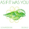 Schwarz & Funk - As If It Was You