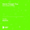 Never Forget You (Tim Bui Unofficial Remix) [Zara Larsson & MNEK] - Single