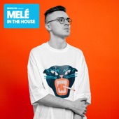 Defected Presents Melé In the House (Mixed) artwork