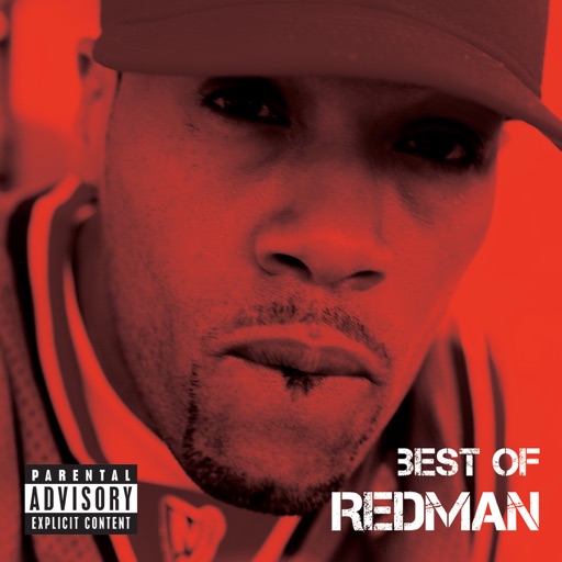 Art for Blow Your Mind (Remix) by Redman