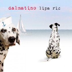 Dalmatino - Feta Žute Naranče