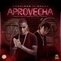 Aprovecha (feat. Ozuna) - Single - Anonimus