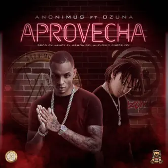 Aprovecha (feat. Ozuna) by Anonimus song reviws