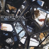 Robert Poss - More Frozen Flowers