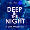 Deep In The Night, Vol. 5 (25 Deep-House Stars)