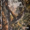 Auntie, What Happened to Me? (feat. Lee Scott) - Nah Eeto lyrics
