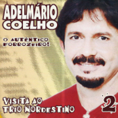 Visita ao Trio Nordestino, Vol. 2 (O Autêntico Forrozeiro) - Adelmário Coêlho