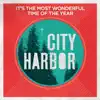 It's the Most Wonderful Time of the Year - Single album lyrics, reviews, download