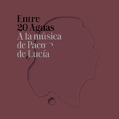 Aguas De Funk (Vámonos) artwork
