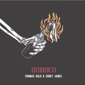 Orinoco (Edit) artwork