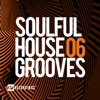 Soulful House Grooves, Vol. 06