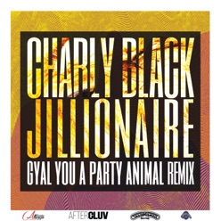 Lyrics To The Song Gyal You A Party Animal Charly Black