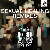 Sexual Healing (Remixes) artwork