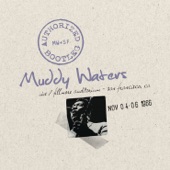 Authorized Bootleg: Muddy Waters (Live At the Fillmore Auditorium, San Francisco, CA - November 4-6, 1966) artwork
