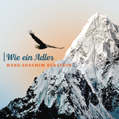 Wie ein Adler - Hans-Joachim Eckstein