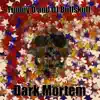 Stream & download Dark-Mortem - Single