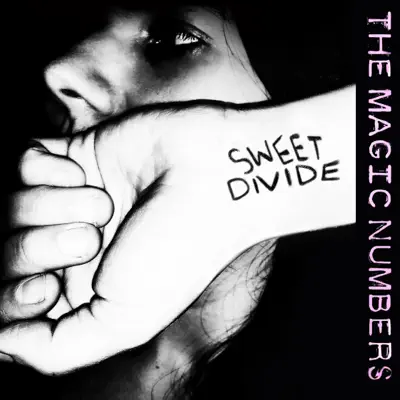 Sweet Divide - Single - The Magic Numbers