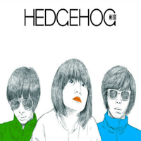 Hedgehog - 白日梦蓝 artwork