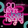 20 Years of Joey Negro, 2010