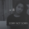 Sorry Not Sorry - Single, 2017