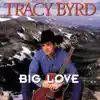 Big Love album lyrics, reviews, download