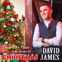 David James - There's No Place Like Home At Christmas artwork