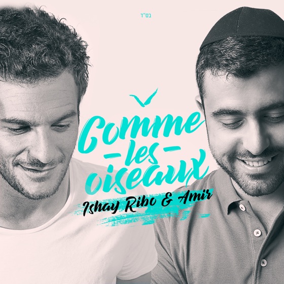 Cover artwork for Comme Les Oiseaux