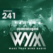 Wake Your Mind Radio 241 artwork